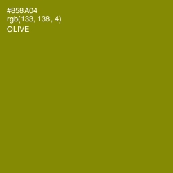 #858A04 - Olive Color Image