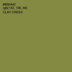 #858A42 - Clay Creek Color Image