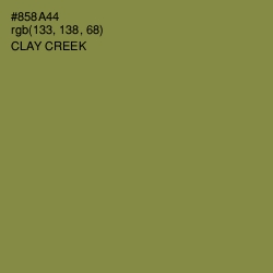 #858A44 - Clay Creek Color Image