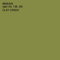 #858A45 - Clay Creek Color Image