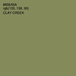#858A5A - Clay Creek Color Image