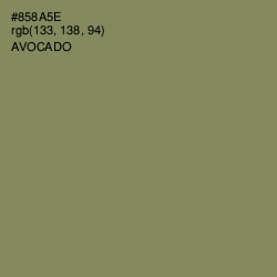 #858A5E - Avocado Color Image