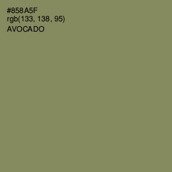 #858A5F - Avocado Color Image