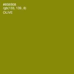 #858B08 - Olive Color Image