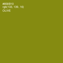 #858B10 - Olive Color Image