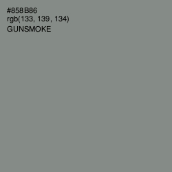 #858B86 - Gunsmoke Color Image