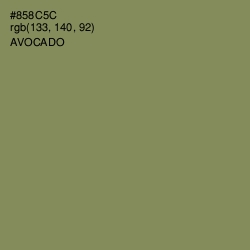 #858C5C - Avocado Color Image