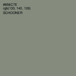 #858C7E - Schooner Color Image