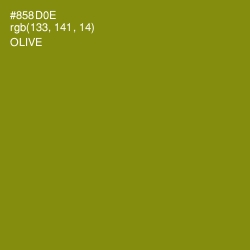 #858D0E - Olive Color Image