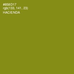 #858D17 - Hacienda Color Image