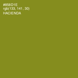 #858D1E - Hacienda Color Image
