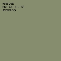 #858D6E - Avocado Color Image
