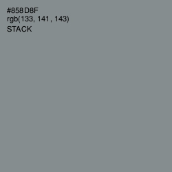 #858D8F - Stack Color Image