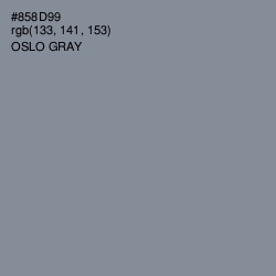 #858D99 - Oslo Gray Color Image