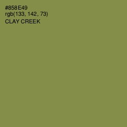 #858E49 - Clay Creek Color Image