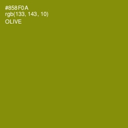 #858F0A - Olive Color Image