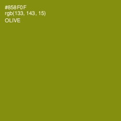 #858F0F - Olive Color Image