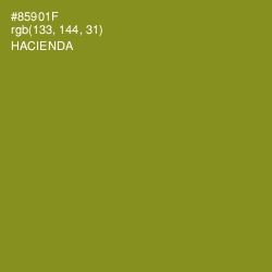 #85901F - Hacienda Color Image