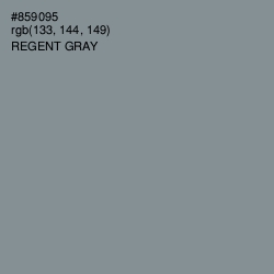 #859095 - Regent Gray Color Image