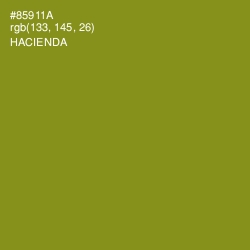 #85911A - Hacienda Color Image