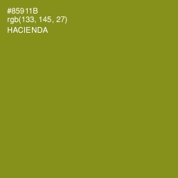 #85911B - Hacienda Color Image