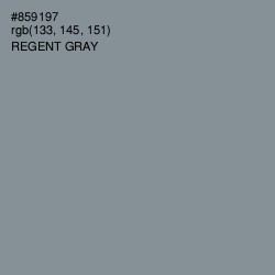 #859197 - Regent Gray Color Image
