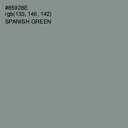 #85928E - Spanish Green Color Image