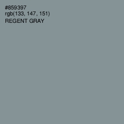 #859397 - Regent Gray Color Image