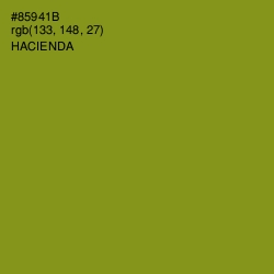 #85941B - Hacienda Color Image