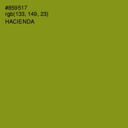 #859517 - Hacienda Color Image