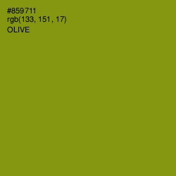 #859711 - Olive Color Image