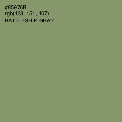 #85976B - Battleship Gray Color Image