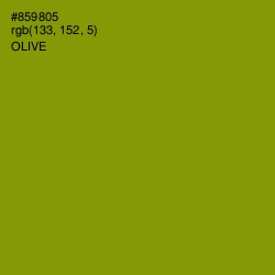 #859805 - Olive Color Image