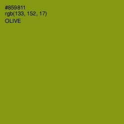 #859811 - Olive Color Image