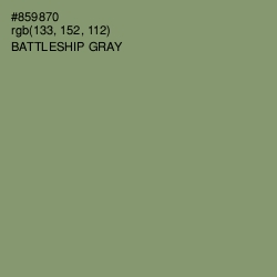 #859870 - Battleship Gray Color Image