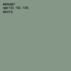 #859887 - Spanish Green Color Image