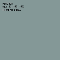 #859898 - Regent Gray Color Image