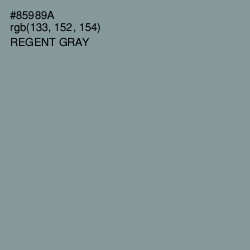 #85989A - Regent Gray Color Image