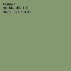 #859971 - Battleship Gray Color Image