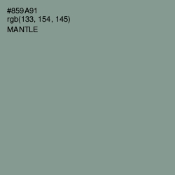 #859A91 - Mantle Color Image
