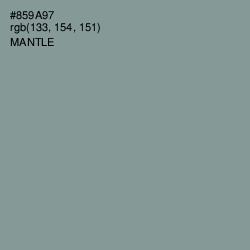 #859A97 - Mantle Color Image