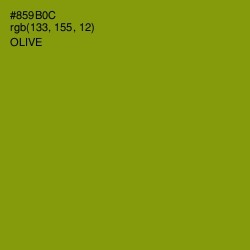 #859B0C - Olive Color Image