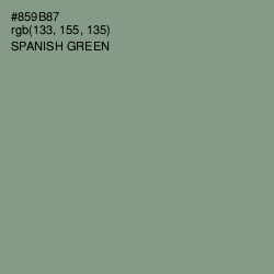 #859B87 - Spanish Green Color Image