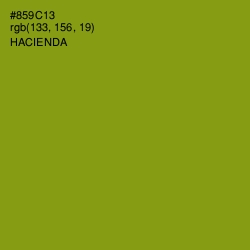 #859C13 - Hacienda Color Image