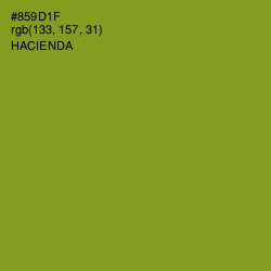 #859D1F - Hacienda Color Image