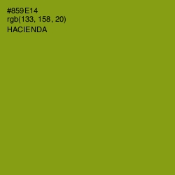 #859E14 - Hacienda Color Image