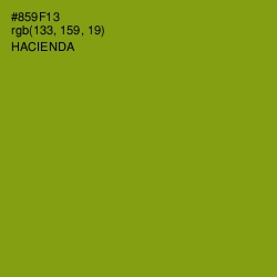 #859F13 - Hacienda Color Image