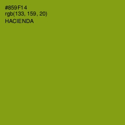 #859F14 - Hacienda Color Image