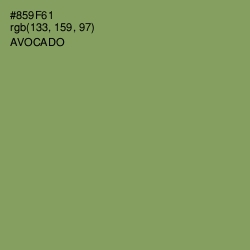 #859F61 - Avocado Color Image