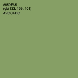 #859F65 - Avocado Color Image